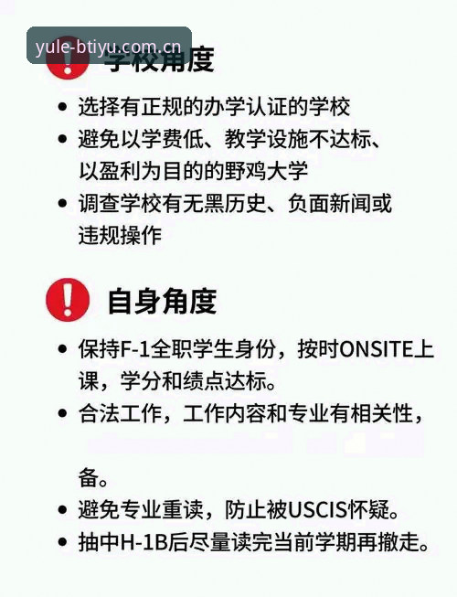 资深玩家分享：B体育怎么下载的完整指南与实战经验